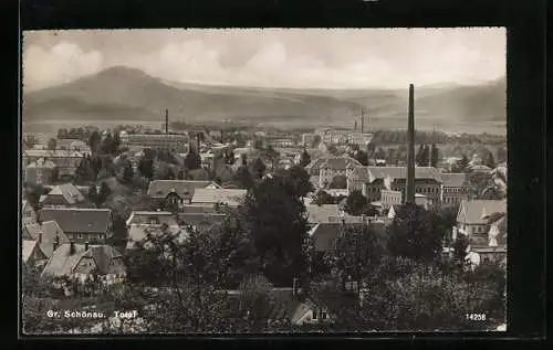 AK Gr. Schönau / Sachsen, Totalansicht mit Fabrik