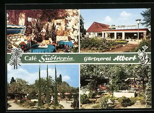 AK Bremen, Café Subtropia, Vahrer Strasse 239, Gärtnerei Albert