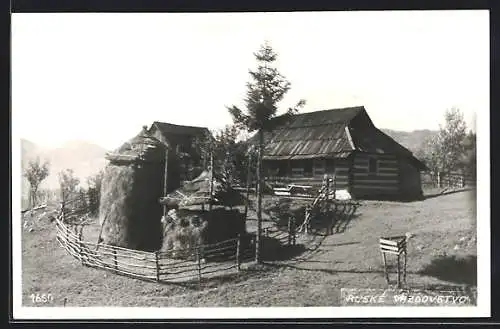 AK Rachow, Ruthenischer Bauernhof