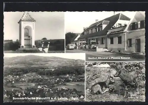 AK Neustift an der Lafnitz, Rehe, Kapelle, Pension Schmidt