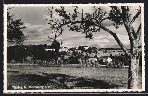 AK Moosburg /Kärnten, Tigring mit Umgebung