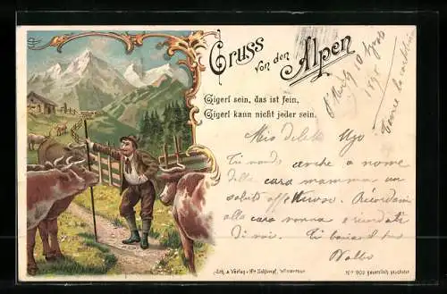 Lithographie Bergsteiger trifft in den Alpen auf eine Herde Kühe