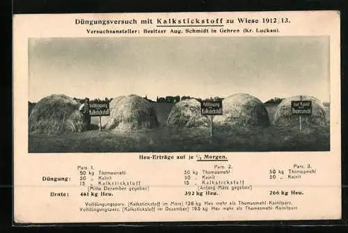 AK Reklame für Kalkstickstoff, Düngungsversuch zu Wiese 1912 /13