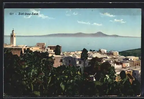 AK Sidi-bou-Said, vue partielle