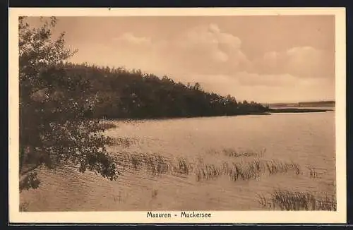 AK Masuren /Muckersee, Teilansicht