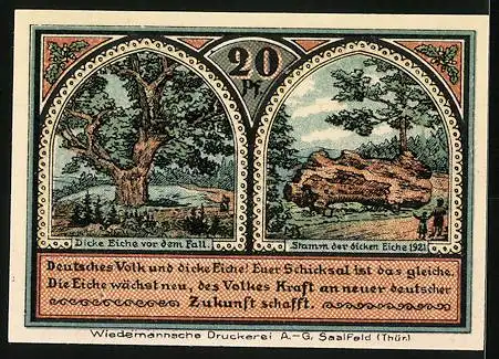 Notgeld Roda bei Ilmenau 1921, 20 Pfennig, Ortsansicht und dicke Eiche vor und nach dem Fall