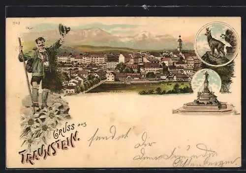 Lithographie Traunstein, Panoramablick auf die Ortschaft