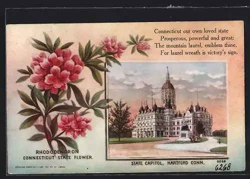 AK Hartford, CT, Rhododendron State Flower und State Capitol