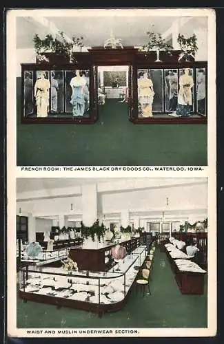 AK Waterloo, IA, French Room, James Black Dry Goods Co., Waist and Muslin underwear Section