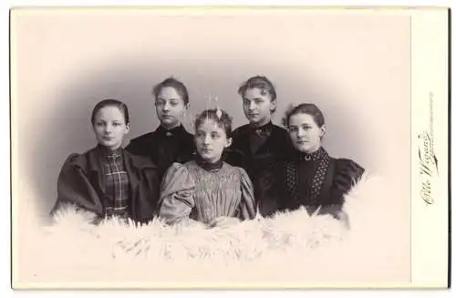 Fotografie Otto Wigand, Zeitz, Badstuben Vorstadt 2, Fünf Schwestern in eleganten Kleidern hinter einem Pelz