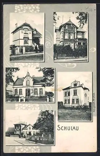 AK Wedel-Schulau, Villen-Ansichten, Strassenpartie