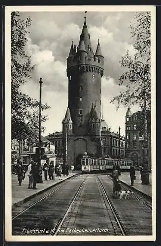 AK Frankfurt /Main, Strassenbahn erreicht die Haltestelle am Eschenheimerturm