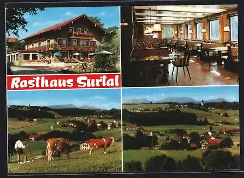 AK Surtal, Rasthaus-Pension v. H. und W. Irlacher, mit Speisesaal, weidende Kühe