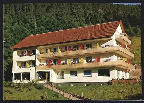 AK Wildbad im Schwarzwald, Die Pension Gästehaus Rothfuss, Olgastr. 47, Inh. Heinz Richter