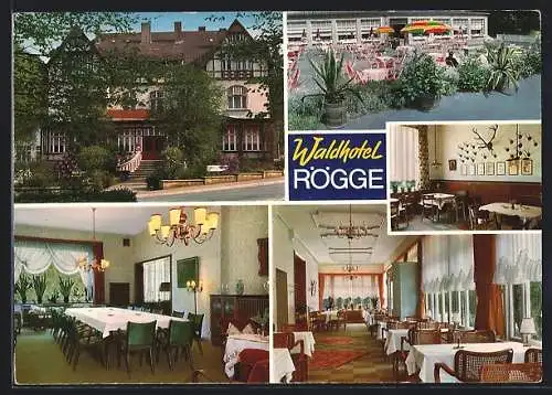 AK Bad Essen, Das Waldhotel Rögge, mit Speisesaal und Terrasse