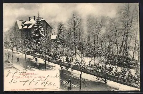 AK Gross-Tabarz, Lauchagrundstrasse im Winter