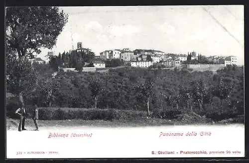 AK Bibbiena, Panorama della Città