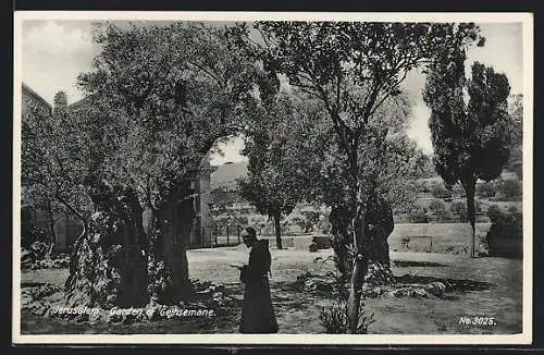 AK Jerusalem, Garden of Gethsemane