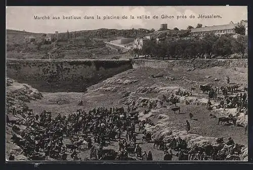 AK Jérusalem, Marché aux bestiaux dans la piscine de la vallée de Gihon