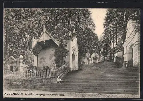 AK Albendorf i. Schl., Aufgang zum Calvarienberg