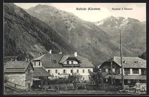 AK Mallnitz, Blick auf den Gasthof 3 Gemsen