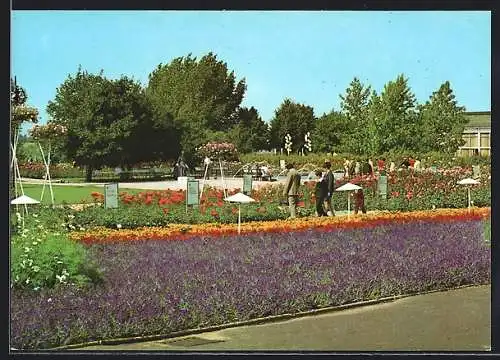 AK Erfurt, Internationale Gartenbauausstellung, Partie auf dem Ausstellungsgelände