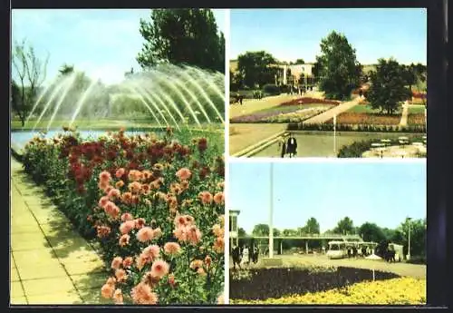 AK Erfurt, 10 Jahre Internationale Gartenbauausstellung der DDR IGA 1961-1971