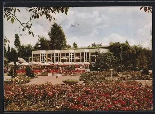 AK Saarbrücken, Rosencafé während der Deutsch-Französischen Gartenschau 1960