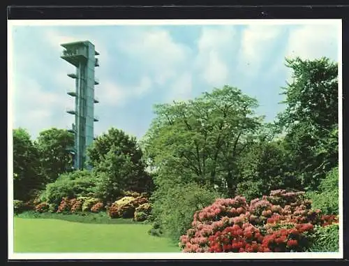 AK Hamburg, Planten un Blomen, Rhododendron am Philips-Turm