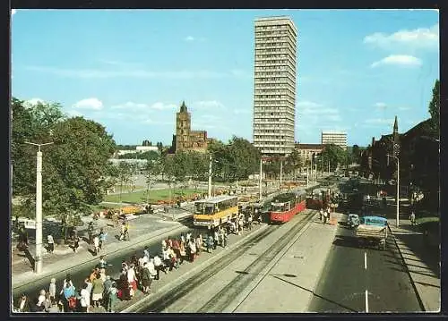 AK Frankfurt / Oder, Strassenbahnen in der Wilhelm Pieck-Strasse