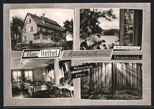 AK Maisenbach / Schwarzwald, Die Pension Haus Bethel, mit Seeblick und Speisesaal, Waldpartie