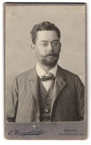 Fotografie C. Weingartshofer, Mödling, Hauptstrasse 58, Junger Herr mit Vollbart und Brille im gemusterten Dreiteiler
