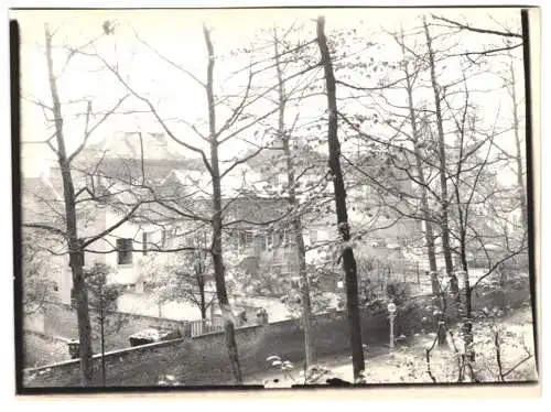 Fotografie unbekannter Fotograf, Ansicht Louvain, Blick durch die Bäume auf den Ort