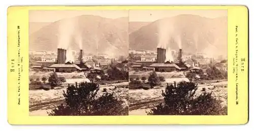 Fotografie Sophus Williams, Berlin, Ansicht Rummelsberg / Harz, Ortsansicht mit Fabrikgebäude