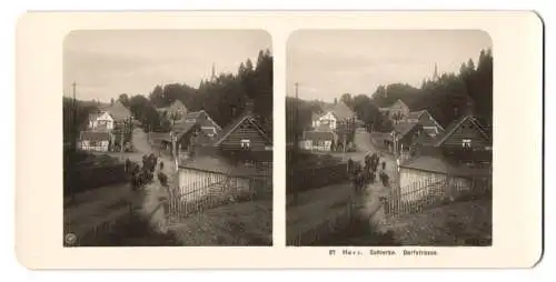 Stereo-Fotografie NPG, Berlin, Ansicht Schierke, Dorfstrasse mit Wohnhäusern und Ochsenherde