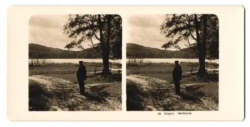 Stereo-Fotografie NPG, Berlin, Ansicht Stubbenkammer, Blick auf den Herthasee im abendlichen Sonnenschein