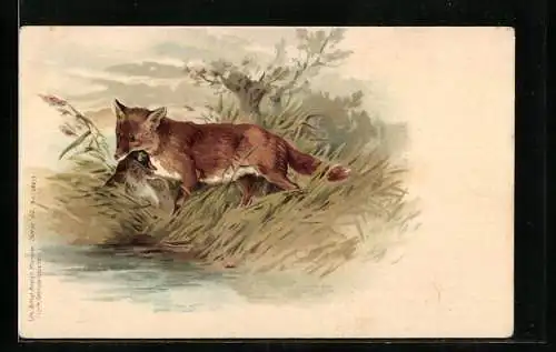 Lithographie Fuchs mit erbeuteter Ente