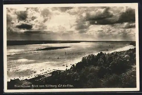 AK Hamburg-Blankenese, Blick vom Süllberg auf die Elbe