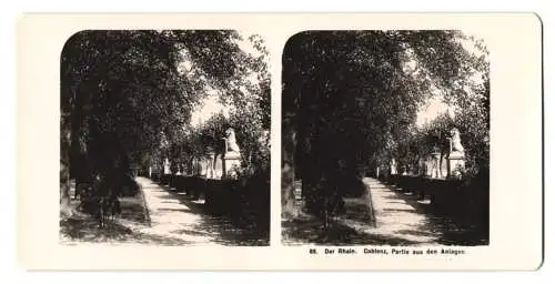 Stereo-Fotografie NPG, Berlin, Ansicht Coblenz a. Rh., Partie aus den Anlagen