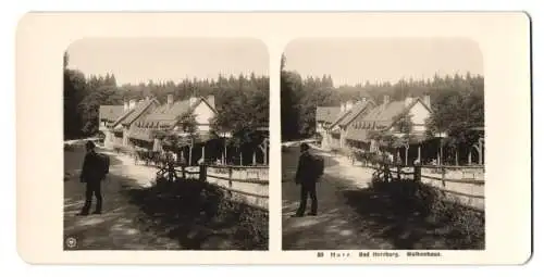 Stereo-Fotografie NPG, Berlin, Ansicht Bad Harzburg, Partie am Molkenhaus