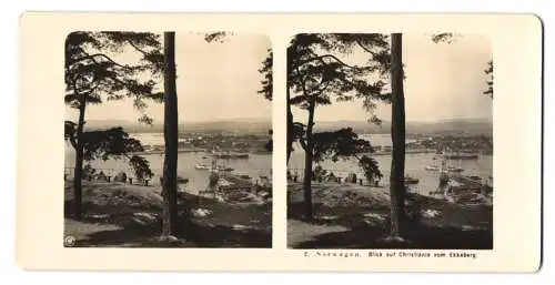 Stereo-Fotografie NPG, Berlin, Ansicht Christiania, Blick nach der Stadt vom Ekkeberg aus gesehen