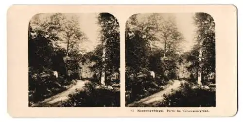 Stereo-Fotografie NPG, Berlin, Ansicht Weisswassergrund, Parite im Weisswassergrund, Riesengebirge