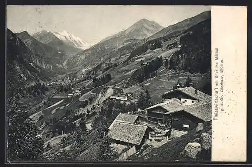 AK Heiligenblut am Grossglockner, Fleisswirtschaft mit Blick ins Mölltal