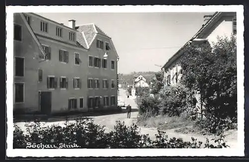 AK Söchau /Stmk., Strassenpartie im Sonnenschein