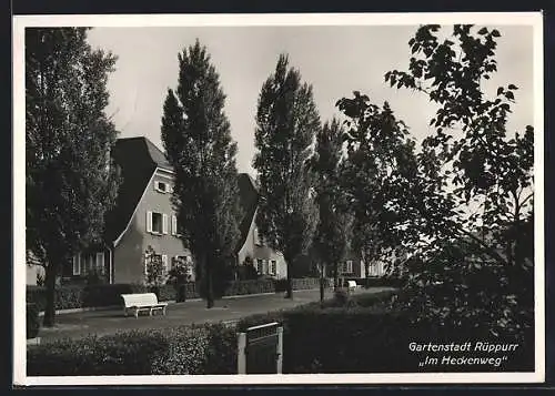 AK Karlsruhe-Rüppurr, Gartenstadt, Im Heckenweg