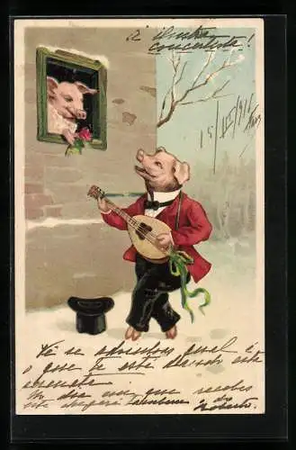 Künstler-AK Schwein bringt der Liebsten ein Ständchen