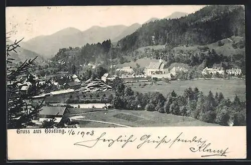 AK Göstling, Ortsansicht aus der Vogelschau