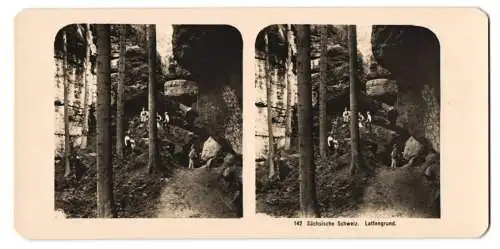 Stereo-Fotografie NPG, Berlin, Ansicht Bad Schandau, Partie mit Felswand im Lattengrund