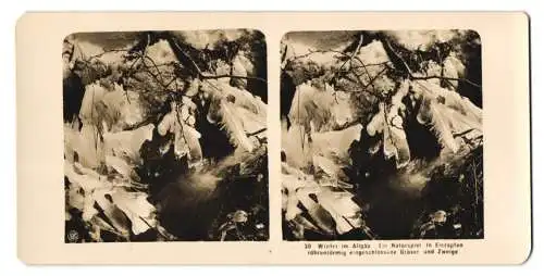 Stereo-Fotografie NPG, Berlin, Winter im Allgäu, Eiszapfen mit röhrenförmig eingeschlossenen Gräsern und Zweigen