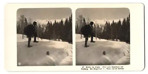 Stereo-Fotografie NPG, Berlin, Ansicht Oberstdorf, Blick auf das Nebelhorn von Freiberg aus, Wegweiser im Schnee